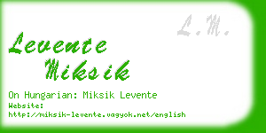 levente miksik business card